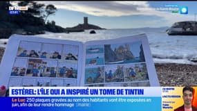 Estérel: découverte de l'île d'Or, qui a inspiré un album de Tintin