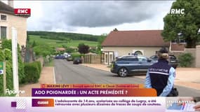 Adolescente poignardée en Saône-et-Loire : un acte prémédité ?