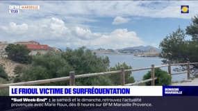 Îles du Frioul: quelles solutions pour lutter contre la surfréquentation?