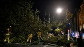 Des pompiers découpent à la tronçonneuse un arbre abattu par une tempête, le 5 octobre 2017 à Berlin
