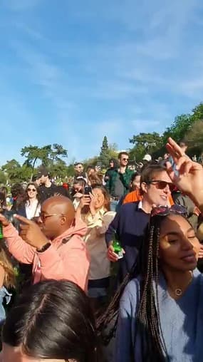 Une foule fait la fête au parc des Buttes-Chaumont à Paris - Témoins BFMTV
