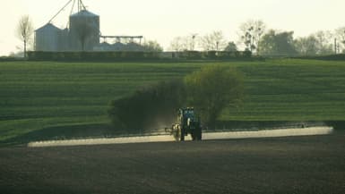 Le Commission européenne a proposé de reconduire pour dix ans l'autorisation du glyphosate 