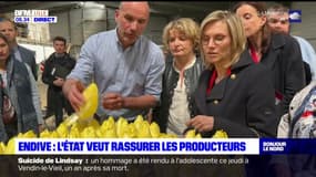 Endive: Agnès Pannier-Runacher au chevet des producteurs 