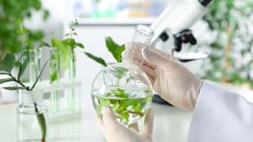 Dynveo : La nutraceutique de pointe