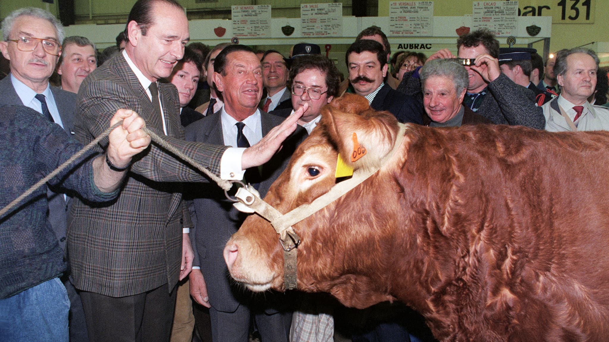 Le maire de Paris, Jacques Chirac, caresse une vache lors de sa visite au Salon international de l'agriculture, le 7 mars 1990.