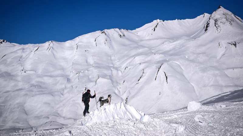 Le risque avalanche classé "fort" ce week-end dans les Alpes et les Pyrénées-Atlantiques