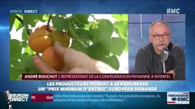 Pourquoi il ne sera plus possible d'acheter des abricots directement au producteur