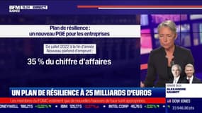 Un plan de résilience à 25 milliards d'euros - 16/03