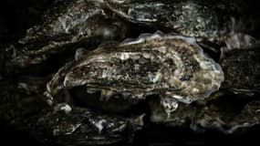 Selon la préfecture d'Ille-et-Vilaine, les huîtres issues de la partie ouest de la baie du Mont-Saint-Michel "sont en cause" dans ces intoxications.