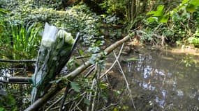 Un bouquet en hommage à Victorine, le 30 septembre 2020 sur les lieux où le corps de la jeune fille a été retrouvé à Villefontaine (Isère)