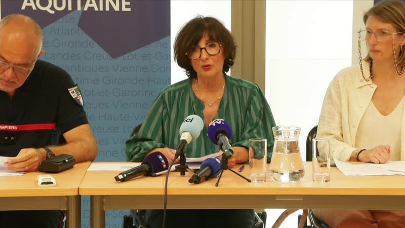"Envisager une autre destination": face aux incendies, la préfète de Gironde "incite les touristes à ne pas venir"