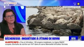 Lutte contre la sécheresse dans les Bouches-du-Rhône: Isabelle Chauvin, candidate Nupes, prône "la planification écologique"