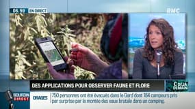 C'est déjà demain :  Un shazam pour reconnaître les plantes, les fleurs ou les animaux