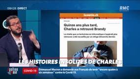 Une famille retrouve son chat perdu depuis dix ans