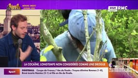 La cocaïne, longtemps non considérée comme une drogue