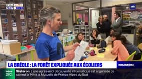 La Bréole: la forêt expliquée aux écoliers dans le cadre d'ateliers