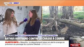 Réserve de réensauvegement: débat entre chasse et réserve naturelle près de Rambouillet