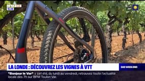 La Londe-les-Maures: les lignes à VTT