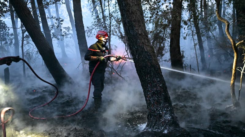 Incendies: pourquoi la Bretagne et le nord de la France deviennent aussi des territoires vulnérables