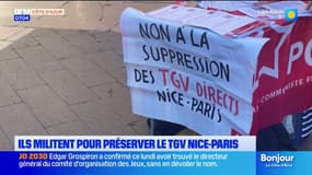 Suppression d'un trajet TGV Nice-Paris: le PCF milite pour préserver la ligne et lance une pétition