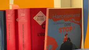C'est, ce jeudi 7 novembre, la journée de la lutte contre le harcèlement scolaire. 