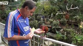 Clément d'Antibes et son coq Balthazar