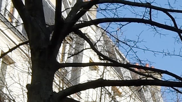 Le jeune homme de 19 ans aurait quadrillé le quartier, passant notamment devant les lycées Louis-le-Grand, Henri IV et l'université de la Sorbonne. 