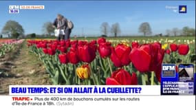 Île-de-France: et si on allait à la cueillette?