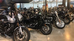 Installé dans le sud est de Paris, Harley Borie suit l'évolution de l'univers Harley Davidson depuis 1946