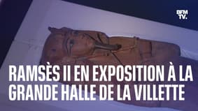 Le sarcophage de Ramsès II est arrivé à Paris pour une exposition unique