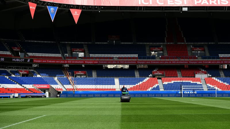 Pelouse du Parc des Princes