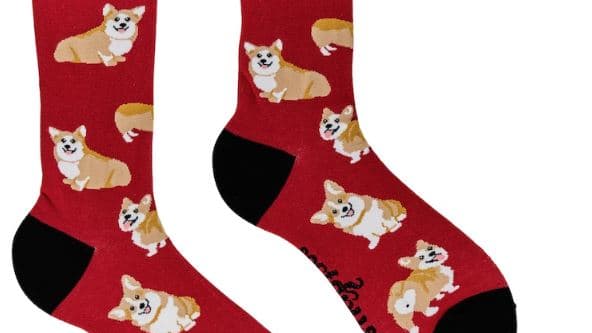Des chaussettes corgis.