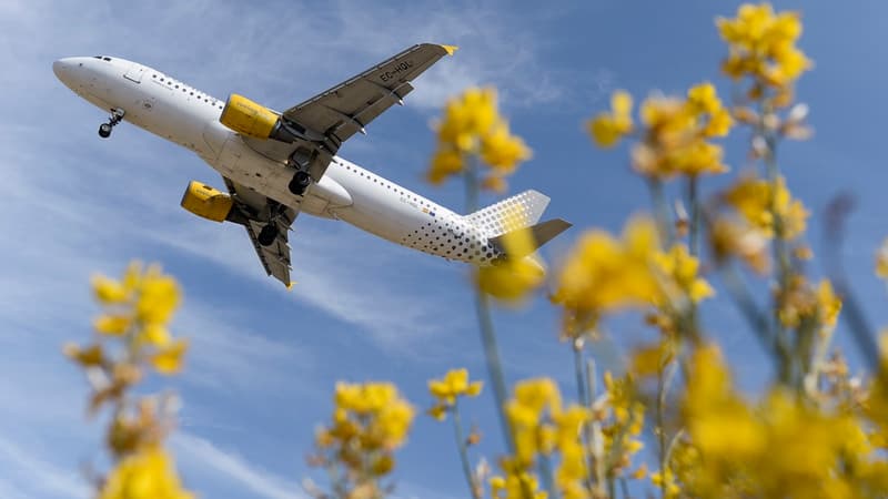 Les réservations de vols depuis l'étranger vers Nice pour les mois d'août et de septembre ont chuté de 19%.