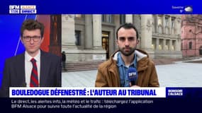 Strasbourg: l'homme qui a défenestré son chien devant le tribunal 