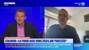 Foire aux vins de Colmar: une édition 2024 réussie  