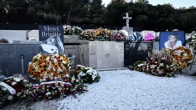 La tombe de Brigitte Bardot au cimetière marin de Saint-Tropez le 7 janvier 2026