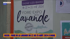 FOCUS : Foire de la lavande du 22 au 25 août 2024 à Digne 