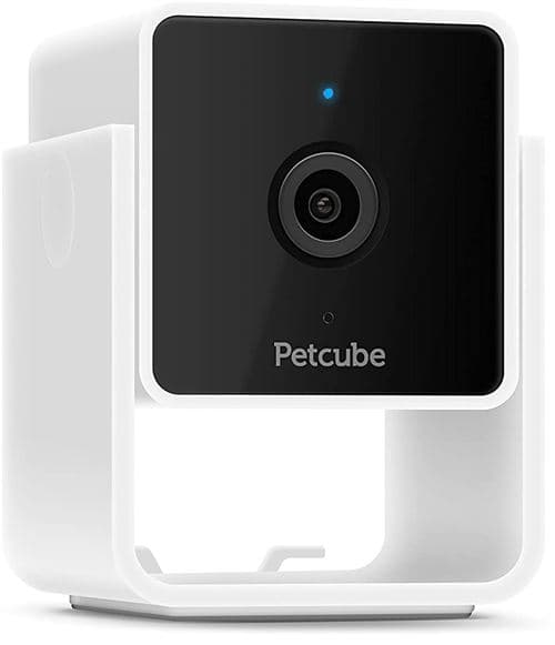 The Petcube Cam surveillance camera