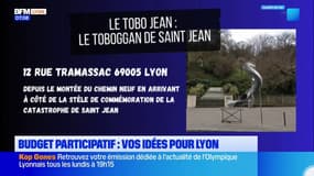 Toboggan géant, pont aérien: vos idées pour Lyon dans le cadre du budget participatif