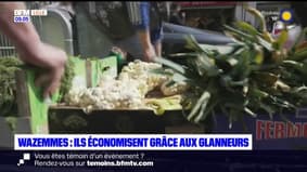 Wazemmes: des glaneurs récupèrent les invendus des marchés pour les plus démunis