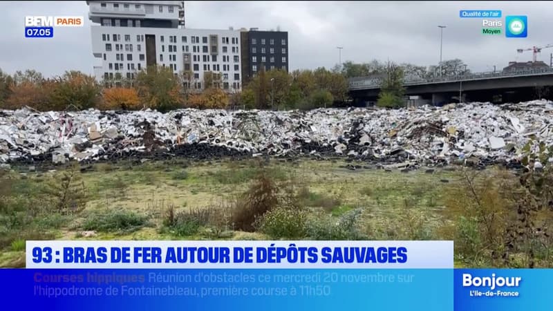 Seine-Saint-Denis: bras de fer autour d'une décharge à ciel ouvert à quelques mètres des habitations