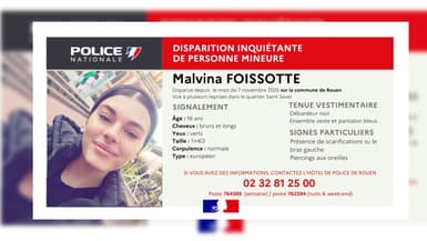 Appel à témoins diffusé le 13 novembre 2025 par la gendarmerie nationale après la disparition de Malvina Foissotte.