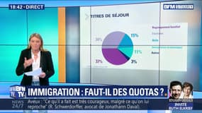 Immigration: faut-il des quotas ?