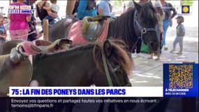 Paris: les balades à poneys bientôt supprimées des parcs
