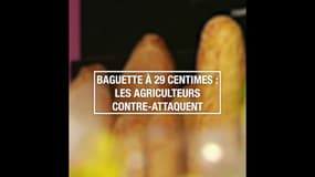 Baguette à 29 centimes : les agriculteurs contre-attaquent
