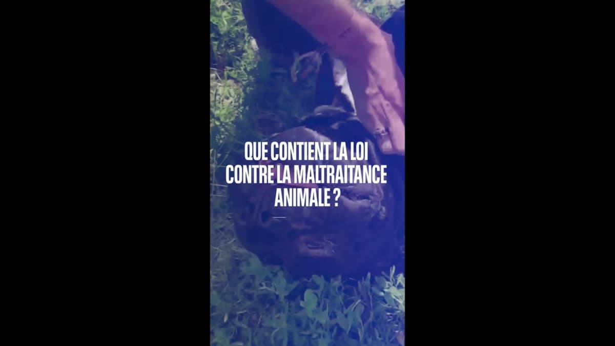 placeholder video