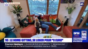 Le home-sitting pour se loger gratuitement !