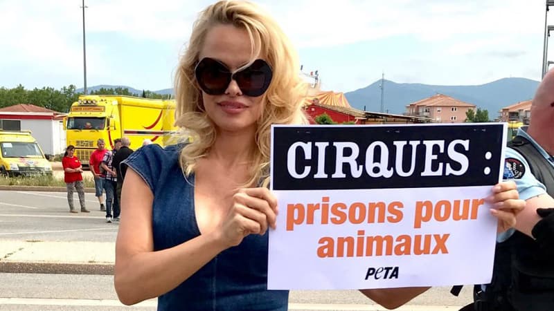 Pamela Anderson manifeste devant un cirque au Luc-en-Provence le 3 juin 2017