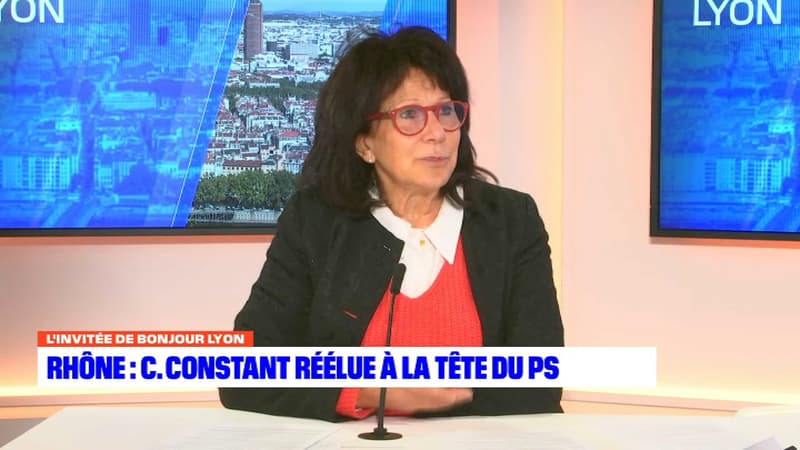 La première secrétaire fédérale du PS du Rhône Christiane Constant démise de ses fonctions après des propos racistes