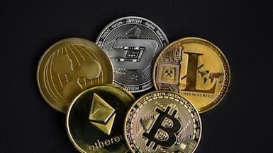 Depuis le crypto-krach, toutes les cryptomonnaies ont chuté fortement depuis leurs plus hauts historiques. Mais certaines ont mieux résisté que d'autres: le bitcoin, l'ether et le binancecoin.